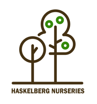 haskelberg-logo-large