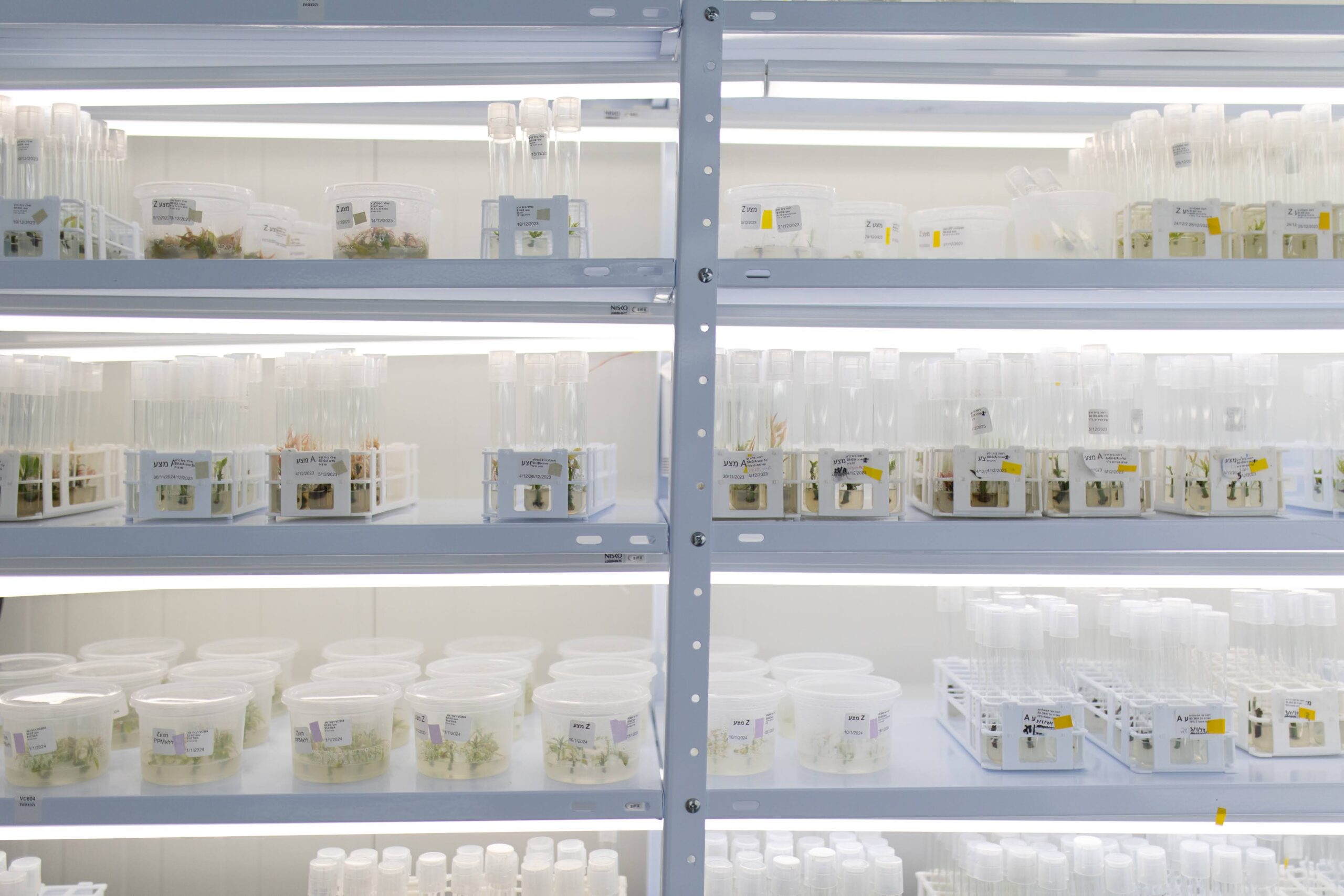 shelves inside tissue culture room