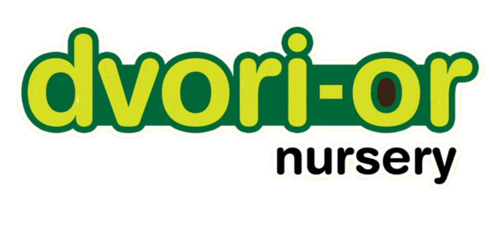 Dvori or nuraseries logo